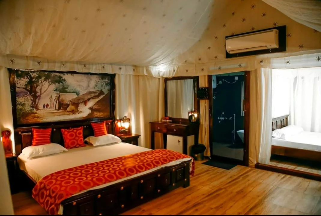 
            Forest Glamping            